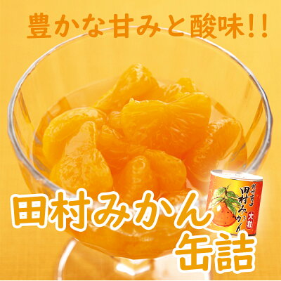 和歌山県湯浅町のふるさと納税 田村みかん 缶詰 8缶セット【フルーツ缶 フルーツ缶詰 みかん 有田みかん 和歌山産】_AY6004n