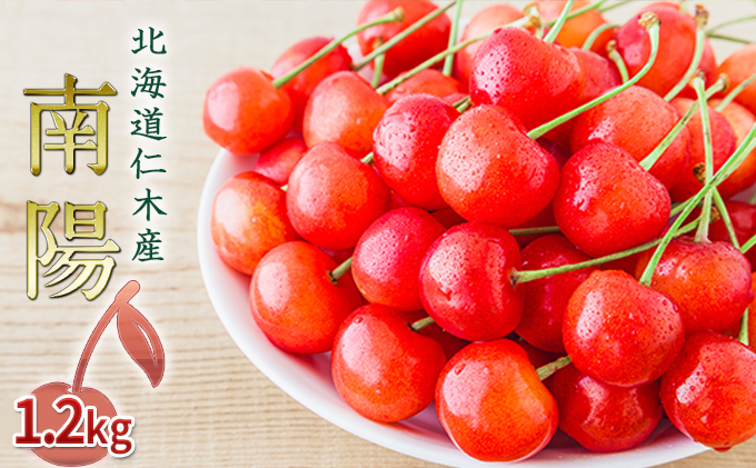 2026年発送 北海道 仁木町産 さくらんぼ 南陽 1.2kg（300g×4パック