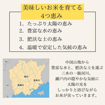 岡山県瀬戸内市のふるさと納税 定期便 4ヶ月 令和7年産 お米 5kg×1袋 ひのひかり あさひ にこまる あけぼの きぬむすめ 特A 精米 白米 ライス 単一原料米 検査米 岡山県 瀬戸内市産 ご飯 主食