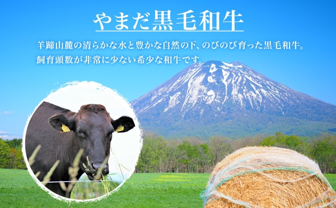 北海道倶知安町のふるさと納税 【生産者応援企画】 訳アリ 北海道 倶知安町 やまだ黒毛和牛 計400g すき焼き 用 ウデ モモ バラ ミックス 200g×2 黒毛和牛 国産牛 お取り寄せ ご褒美 和牛 すきやき 羊蹄山 送料無料 冷凍 ニセコファーム