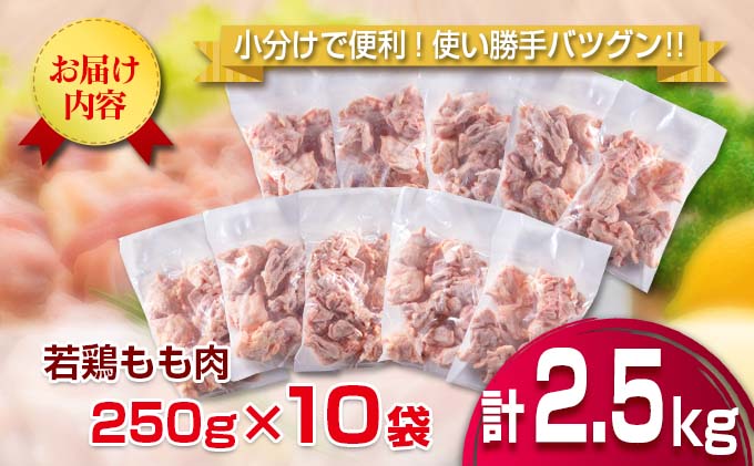 宮崎県日南市のふるさと納税 小分け 便利 カット済 若鶏 もも肉 計2.5kg 250g × 10袋 鶏肉 国産 おかず お弁当 おつまみ 食品 IQF冷凍 バラバラ凍結 チキン 簡単調理 から揚げ 唐揚げ 親子丼 チキンカレー 人気 おすすめ グルメ おすそ分け お取り寄せ 大容量 宮崎県 日南市 送料無料_BD115-25