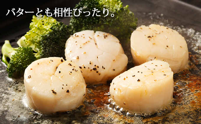 北海道厚岸町のふるさと納税 ジャンボホタテ貝柱 500g (12玉前後) 北海道 帆立 ホタテ ほたて 貝柱 ホタテ貝柱 玉冷 魚貝類