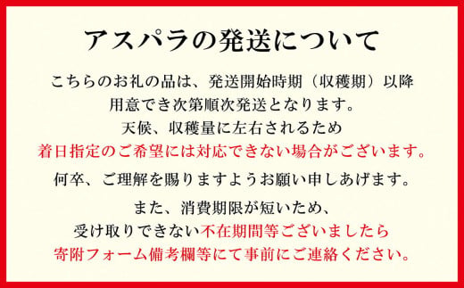 北海道江差町のふるさと納税 ＼春アスパラ 先行予約 2026年4月～順次出荷予定／北海道江差町産 アスパラガス【L～2Lサイズ】 1kg　約20本　太い！ 甘い！ ジューシー！　朝採り　農家直送　新鮮　鮮度保持　北海道　旬野菜　グリーンアスパラ　アスパラ　ギフト　贈答