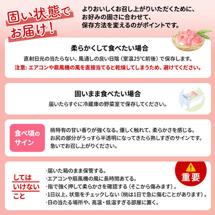 長野県小諸市のふるさと納税 桃 先行予約 浅間水蜜桃 あかつき 約5kg 秀品 フルーツ 果物 白桃 白鳳 甘い 冷蔵