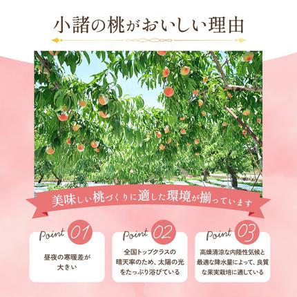 長野県小諸市のふるさと納税 【オンライン決済限定】【2026年8月上旬～発送予定】桃 先行予約 浅間水蜜桃 あかつき 約5kg 秀品 13～22玉 贈答品 フルーツ 果物 白桃 白鳳 甘い 冷蔵