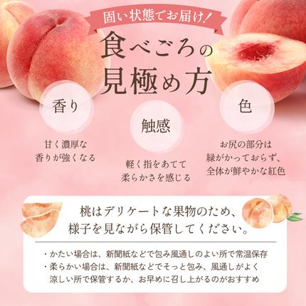 長野県小諸市のふるさと納税 【オンライン決済限定】【2026年8月上旬～発送予定】桃 先行予約 浅間水蜜桃 あかつき 約5kg 秀品 13～22玉 贈答品 フルーツ 果物 白桃 白鳳 甘い 冷蔵