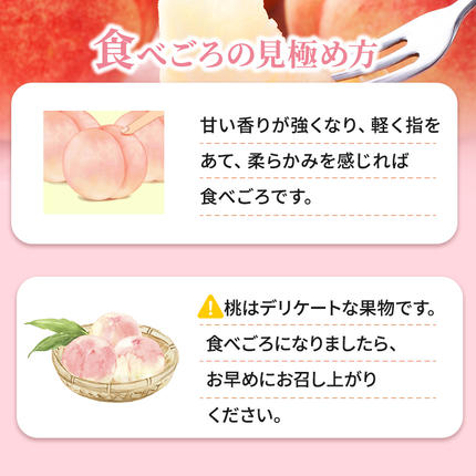 長野県小諸市のふるさと納税 桃 先行予約 浅間水蜜桃 あかつき 約5kg 秀品 フルーツ 果物 白桃 白鳳 甘い 冷蔵