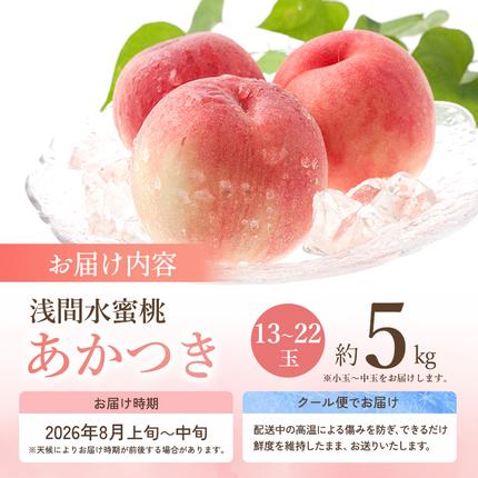 長野県小諸市のふるさと納税 【オンライン決済限定】【2026年8月上旬～発送予定】桃 先行予約 浅間水蜜桃 あかつき 約5kg 秀品 13～22玉 贈答品 フルーツ 果物 白桃 白鳳 甘い 冷蔵