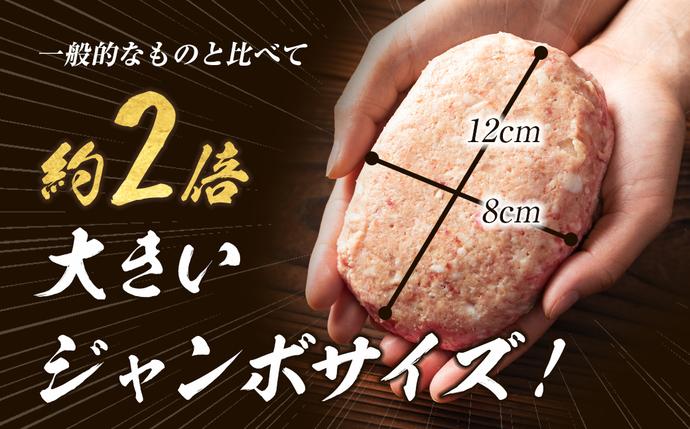 兵庫県淡路市のふるさと納税 淡路島たまねぎどっさりジャンボハンバーグ 200g×12個　　ジューシー 合挽  人気 ハンバーグ