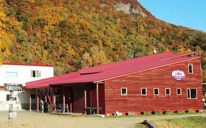 北海道仁木町のふるさと納税 kanonzすぱあくりんご「 シードル 」720ml×1本 お酒 シャンパン スパークリングワイン 発泡酒 アルコール ワイン りんご リンゴ ご褒美 お祝 記念日 [株式会社八剣山さっぽろ地ワイン研究所]