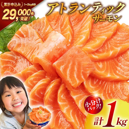 ノルウェー産 アトランティックサーモン 総