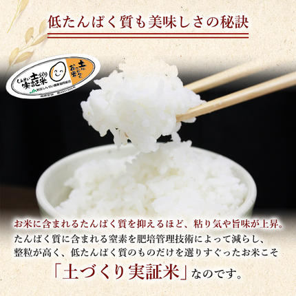 秋田県にかほ市のふるさと納税 米 定期便 全3回【2ヶ月に1回】秋田県産 あきたこまち 5kg ×3回 計15kg 令和7年産〈土づくり実証米〉JAしんせい【 精米 白米 米 コメ お米 おこめ ブランド米 ご飯 ごはん低たんぱく 産地直送 送料無料 高評価 秋田 にかほ 】