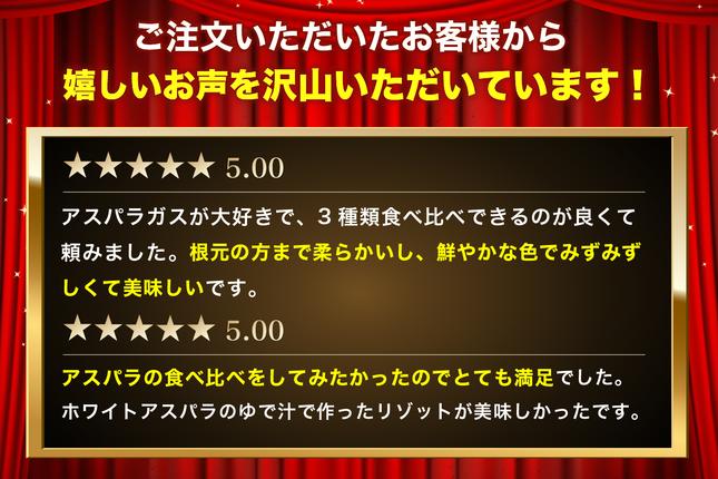香川県東かがわ市のふるさと納税 アスパラガス3色セット 1kg 野菜 野菜セット