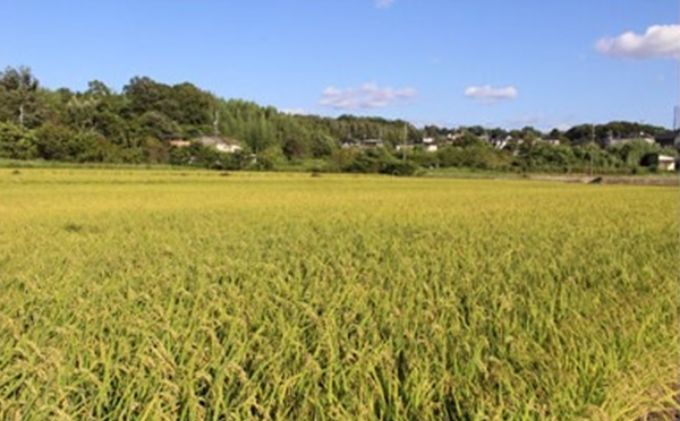愛知県日進市のふるさと納税 杲流 純米吟醸 夢吟香 720ml お酒 日本酒 純米吟醸酒