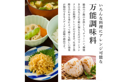 高知県芸西村のふるさと納税 SNS007　減塩味付け極しょうが110g×10袋 - 減塩 しょうが ショウガ 生姜 生ふりかけ 坂田信夫商店 黄金しょうが 高知 国産 料理 おかず 調味料 ご飯のお供 混ぜご飯 刻み生姜 健康 話題