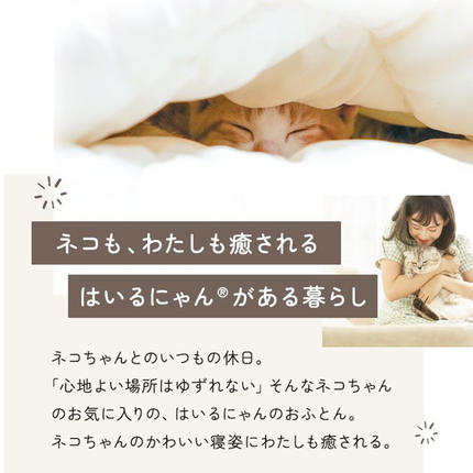 宮崎県都城市のふるさと納税 【ピンク】ねこのおふとん「はいるにゃん(R)」Lサイズ_AO-J201-pk