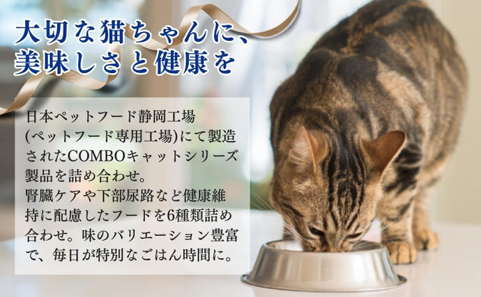 静岡県袋井市のふるさと納税 キャットフード コンボ 6種類 お試し セット 日本ペットフード 猫 ドライ フード 小分け おやつ 猫餌 猫の餌 餌 猫のおやつ 猫用おやつ ネコおやつ ドライフード キャット 猫ケア用品 猫用品 毛玉 毛玉ケア 口臭ケア 腎臓 尿路 下部尿路 猫用