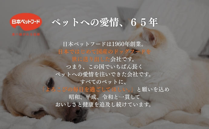 静岡県袋井市のふるさと納税 キャットフード コンボ 6種類 お試し セット 日本ペットフード 猫 ドライ フード 小分け おやつ 猫餌 猫の餌 餌 猫のおやつ 猫用おやつ ネコおやつ ドライフード キャット 猫ケア用品 猫用品 毛玉 毛玉ケア 口臭ケア 腎臓 尿路 下部尿路 猫用