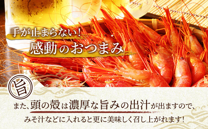 北海道厚岸町のふるさと納税 えび 3D冷凍 北海道 厚岸産 浜茹で 北海しまえび 中サイズ 500g (33尾前後) 海鮮 魚介類