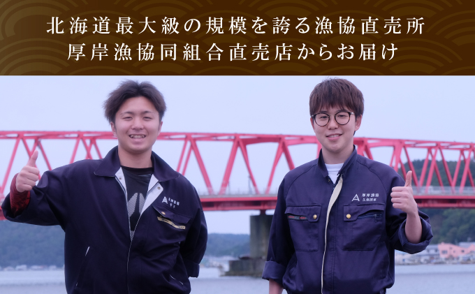 北海道厚岸町のふるさと納税 えび 3D冷凍 北海道 厚岸産 浜茹で 北海しまえび 中サイズ 500g (33尾前後) 海鮮 魚介類