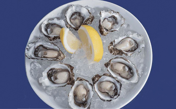 北海道厚岸町のふるさと納税 厚岸町産 「カキえもん物語」 カキえもん 干しカキえもん セット 魚貝類 干物 生牡蠣 純厚岸産牡蠣 旨味 海の幸 乾物 海産物詰め合わせ