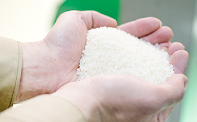 島根県美郷町のふるさと納税 令和7年産 美郷きぬむすめ 10kg（5kg×2袋）【米 お米 精米 白米 ブランド米 きぬむすめ 10kg 5kg×2袋 2025年産】