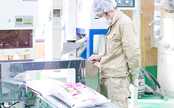 島根県美郷町のふるさと納税 令和7年産 美郷きぬむすめ 10kg（5kg×2袋）【米 お米 精米 白米 ブランド米 きぬむすめ 10kg 5kg×2袋 2025年産】