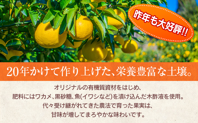 宮崎県日南市のふるさと納税 先行予約 訳あり 海藻木酢 日向夏 小夏 計4kg以上 傷み補償分入り 期間限定 数量限定 フルーツ 果物 くだもの 柑橘 みかん 訳アリ 国産 食品 デザート おやつ おすそ分け おすすめ ご家庭用 ご自宅用 B品 傷 マーマレード 産地直送 宮崎県 日南市 送料無料_ZZ19-23