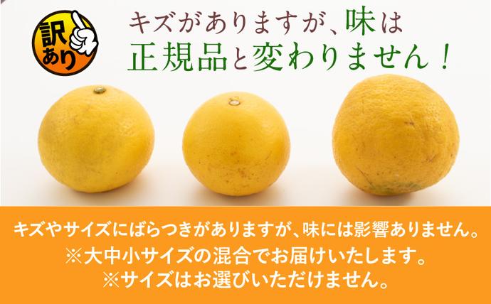 宮崎県日南市のふるさと納税 先行予約 訳あり 海藻木酢 日向夏 小夏 計4kg以上 傷み補償分入り 期間限定 数量限定 フルーツ 果物 くだもの 柑橘 みかん 訳アリ 国産 食品 デザート おやつ おすそ分け おすすめ ご家庭用 ご自宅用 B品 傷 マーマレード 産地直送 宮崎県 日南市 送料無料_ZZ19-23
