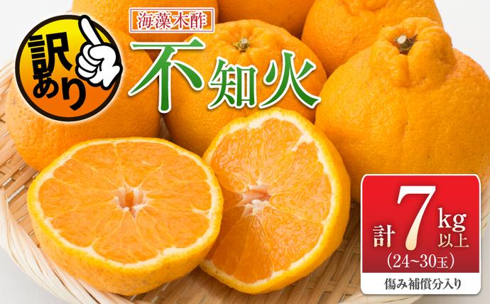 先行予約 訳あり 海藻木酢 不知火 計7k