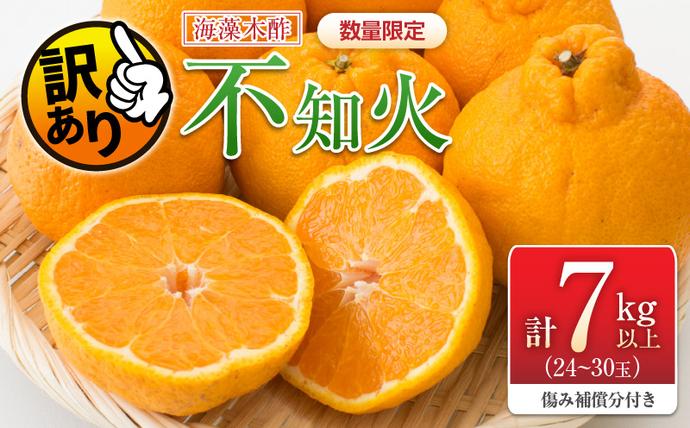 宮崎県日南市のふるさと納税 先行予約 訳あり 海藻木酢 不知火 計7kg以上 傷み補償分入り 期間限定 数量限定 フルーツ 果物 くだもの 柑橘 みかん 訳アリ 国産 食品 デザート おやつ おすそ分け おすすめ ご家庭用 ご自宅用 B品 傷 マーマレード 産地直送 宮崎県 日南市 送料無料_BBV2-24