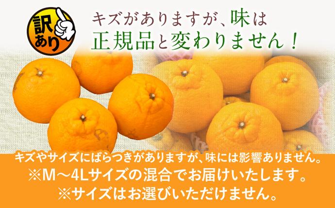 宮崎県日南市のふるさと納税 先行予約 訳あり 海藻木酢 不知火 計7kg以上 傷み補償分入り 期間限定 数量限定 フルーツ 果物 くだもの 柑橘 みかん 訳アリ 国産 食品 デザート おやつ おすそ分け おすすめ ご家庭用 ご自宅用 B品 傷 マーマレード 産地直送 宮崎県 日南市 送料無料_BBV2-24