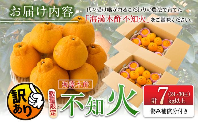 宮崎県日南市のふるさと納税 先行予約 訳あり 海藻木酢 不知火 計7kg以上 傷み補償分入り 期間限定 数量限定 フルーツ 果物 くだもの 柑橘 みかん 訳アリ 国産 食品 デザート おやつ おすそ分け おすすめ ご家庭用 ご自宅用 B品 傷 マーマレード 産地直送 宮崎県 日南市 送料無料_BBV2-24