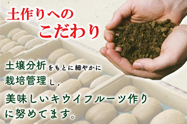 埼玉県春日部市のふるさと納税 【ヘイワード約3.6kg】贈答用大箱大晴農園のキウイフルーツ（BY004-2）