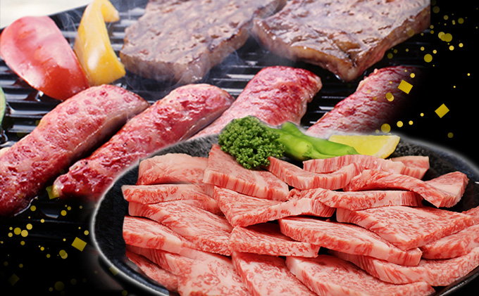 岐阜県池田町のふるさと納税 ふるさと納税　飛騨牛 ロース＆カルビ 焼肉 セット  計1kg A5 和牛 牛肉 お肉 ロース カルビ 食べ比べ 焼肉用 バーベキュー BBQ