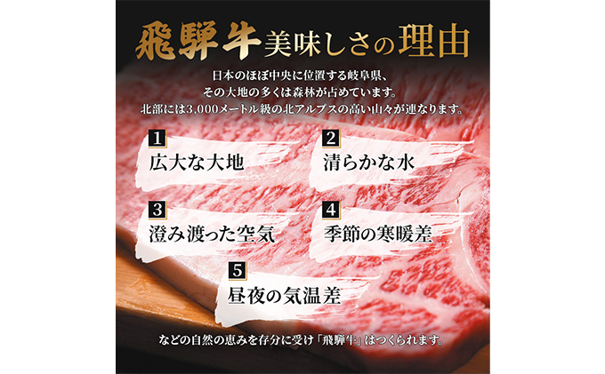 岐阜県池田町のふるさと納税 ふるさと納税　飛騨牛 ロース＆カルビ 焼肉 セット  計1kg A5 和牛 牛肉 お肉 ロース カルビ 食べ比べ 焼肉用 バーベキュー BBQ