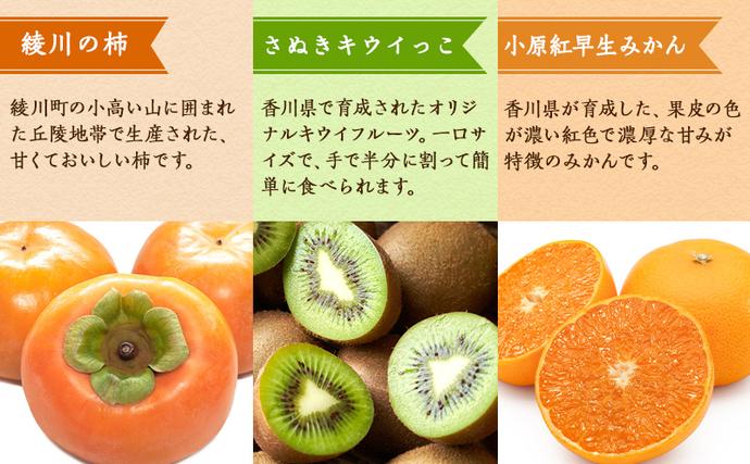 香川県綾川町のふるさと納税 特産　フルーツ　定期便（年12回） 香緑キウイ さぬきひめいちご しらぬひ 貯蔵 デコポン