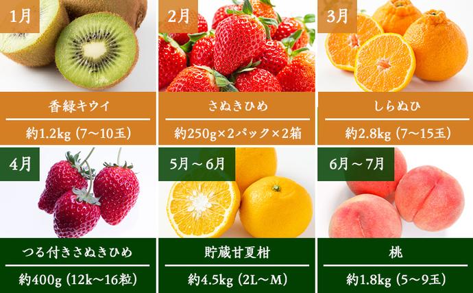 香川県綾川町のふるさと納税 特産　フルーツ　定期便（年12回） 香緑キウイ さぬきひめいちご しらぬひ 貯蔵 デコポン