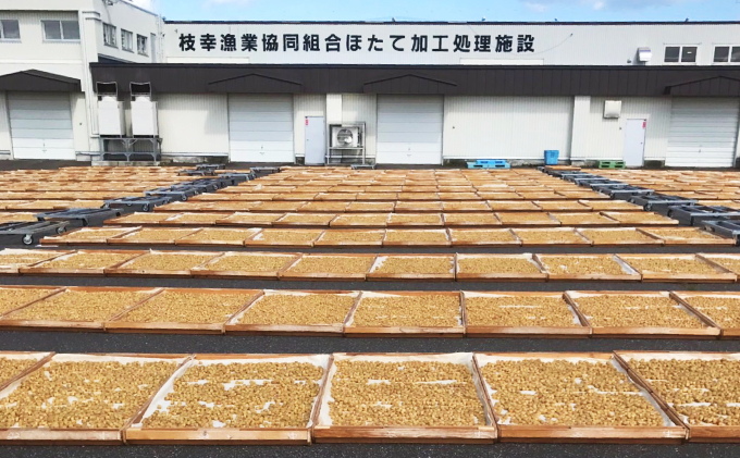 北海道枝幸町のふるさと納税 【枝幸ほたて】1等干し貝柱 SA7粒入×5個【 ホタテ 帆立 ほたて 貝柱 干貝柱 干し貝柱 乾物 魚貝 魚介 おつまみ 北海道 オホーツク 枝幸 】