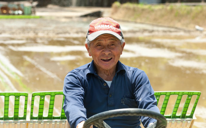 熊本県八代市のふるさと納税 《令和7年産》 鶴喰米 精米5kg くまさんの輝き 米 精米 白米 熊本県産 国産