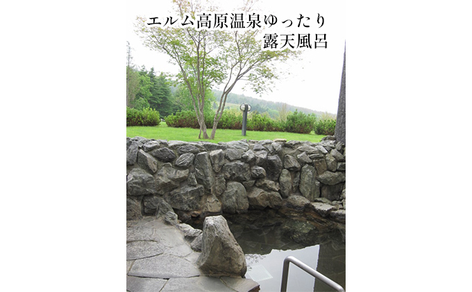 北海道赤平市のふるさと納税 エルム高原リゾート コテージ宿泊券（日帰り温泉入浴券付き） チケット 温泉利用券 1戸建1棟貸切 6名まで利用可 ケビン村 虹の山荘 北海道 赤平市