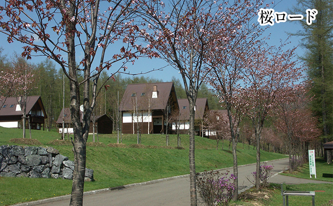 北海道赤平市のふるさと納税 エルム高原リゾート コテージ宿泊券（日帰り温泉入浴券付き） チケット 温泉利用券 1戸建1棟貸切 6名まで利用可 ケビン村 虹の山荘 北海道 赤平市