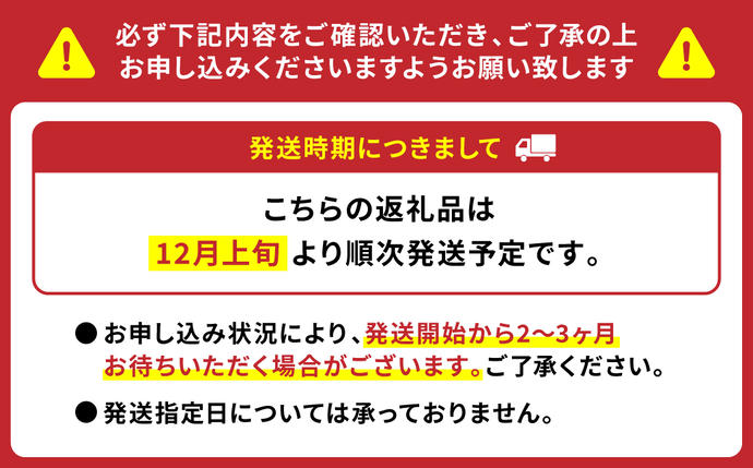 熊本県八代市のふるさと納税 野菜ソムリエ岡田健志郎が育てた ミニトマト 1.2kg以上 トマト 野菜 熊本県産 新鮮 サラダ やさい とまと 八代市産 九州