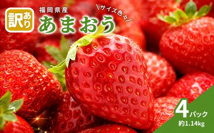 訳あり いちご 2027年2月中旬より発送