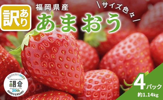 福岡県朝倉市のふるさと納税 【朝倉市制施行20周年記念企画】 訳あり いちご 2026年3月中旬より発送 あまおう サイズ色々 4パック 約1.14kg 配送不可 離島 果物 フルーツ 福岡県産あまおう