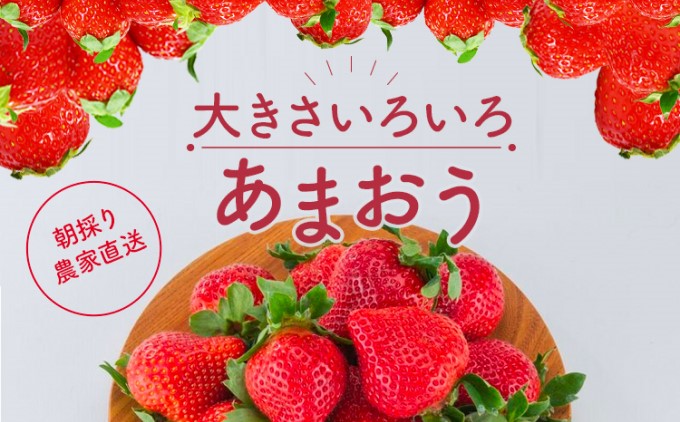 福岡県朝倉市のふるさと納税 【朝倉市制施行20周年記念企画】 訳あり いちご 2026年3月中旬より発送 あまおう サイズ色々 4パック 約1.14kg 配送不可 離島 果物 フルーツ 福岡県産あまおう