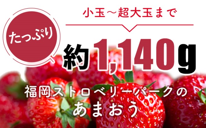 福岡県朝倉市のふるさと納税 【朝倉市制施行20周年記念企画】 訳あり いちご 2026年3月中旬より発送 あまおう サイズ色々 4パック 約1.14kg 配送不可 離島 果物 フルーツ 福岡県産あまおう