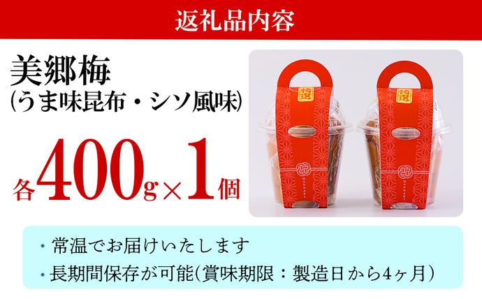 宮崎県美郷町のふるさと納税 南高梅 梅干し 美郷梅 昆布 シソ風味 セット 各400g×1 3Lサイズ A級品 [農林産物直売所 美郷ノ蔵 宮崎県 美郷町 31ab0114] 国産 セット 詰め合わせ　 宮崎県産 美郷産 常温 送料無料 贈答品 父の日 母の日 プレゼント ギフト 食べ比べ 2種 贈り物 おやつ お菓子 調理 おかず 料理 普段使い