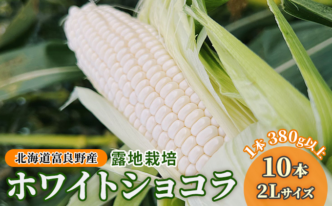 2026年夏発送】北海道 富良野産 ホワイトショコラ 2Lサイズ 10本 露地