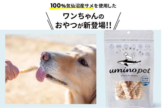 宮城県気仙沼市のふるさと納税 UMINO PET サメ軟骨スティック 40g×5個 [石渡商店 宮城県 気仙沼市 20563958] ペットフード ドッグフード 犬 いぬ 犬用 ペット おやつ オヤツ 国産 気仙沼産 サメ 鮫 軟骨